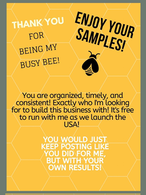 Busy Bee Insert